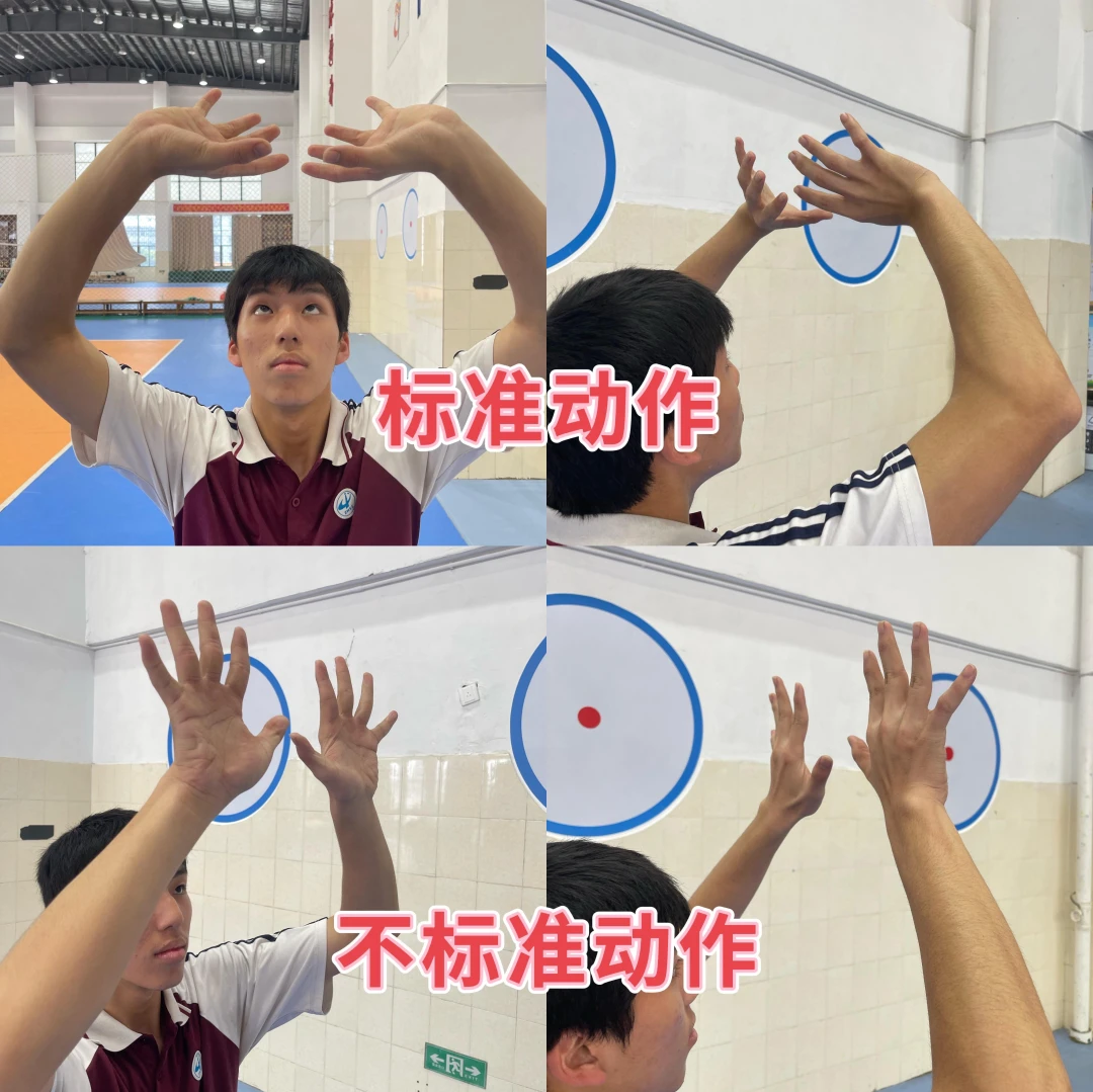 幼儿篮球训练内容与要求有哪些?_0